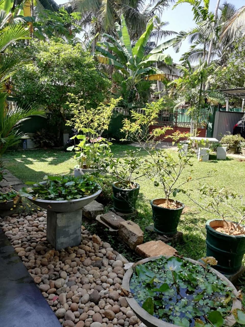 Serenity Villa Хіккадува Екстер'єр фото
